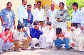 Nothing succeeds like fake