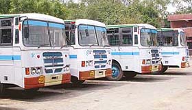 Some of the buses recently acquired by the Chandigarh Transport Undertaking remain parked in the CTU workshop