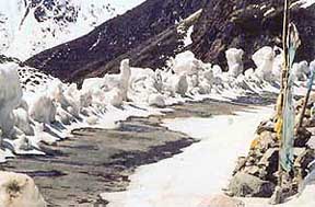 Snow sculptures lined the road to Yumthang