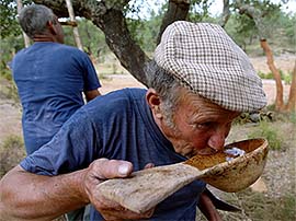 Farm worker Antonio Boneco drinks water from a cocho