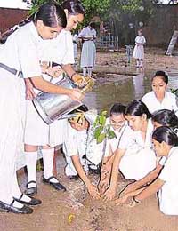 Students of Government Model High School, Sector 28, Chandigarh, plant a sapling on the school premises on Thursday.
