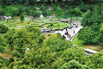Greener as ever: The City Beautiful gives a fresh look after being washed by soothing showers for hours on Friday