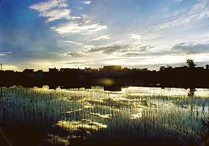 LIFE HAS SHADES OF GREY ALSO