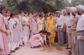 Members of eco clubs from 14 schools plant saplings at Government Girls� Senior Secondary School, Bharat Nagar