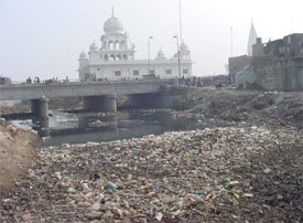 Polythene bags in huge quantities can be seen piled up in every locality of Ludhiana