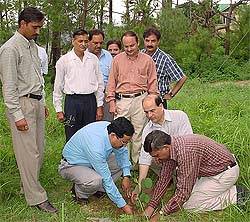 Hamirpur Rotary Club members plant saplings at a function organised by the Rotary Club in collaboration with the Inner Wheel Club