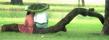 A couple savour a quiet moment on Friendship Day at the India Gate