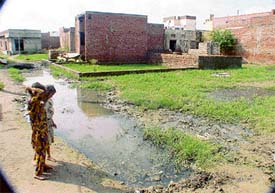 Sewage collected on the streets of New Ashok Nagar 'B'