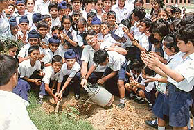 Students of Government Model Senior Secondary School, Sector 35, plant a sapling on the school premises in Chandigarh on Friday.