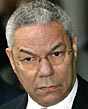  Colin Powell 