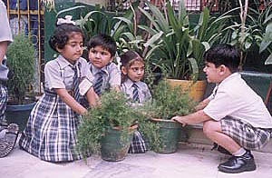 Children of Bal Bhawan, Laxmi Nagar, planting trees on their school premises.