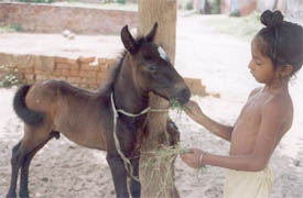 Patience and love go together, the little boy seems to tell the world