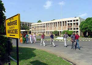 The Punjab Agricultural University at Ludhiana