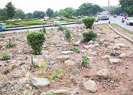 A traffic island near the Sector 16 cricket stadium wears a new look after the landscaping