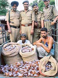 At least 1,000 pouches of illicit liquor were seized from the possession of two persons in Chandigarh