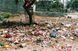 A nauseating site of a PUDA colony in Urban Estate area