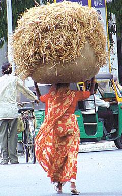 All in a day's work!