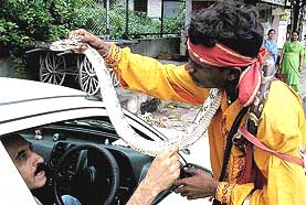 A snake charmer tries to earn his livelihood by showing his snake at a busy street in New Delhi