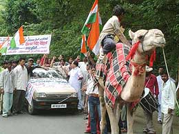 Congress workers use a camel to pull a car during a demonstration 