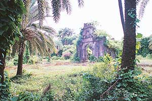 The overgrowth blocks all trails to the fort