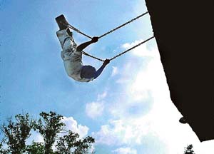 Emerging out of the shadows to touch the blue heavens.