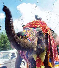 An elephant leads the Shobha Yatra of Ganpati Mahotsava in Ludhiana.