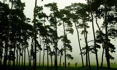 Golf fans walk through trees during a fog delay on the first day's play of the Solheim Cup