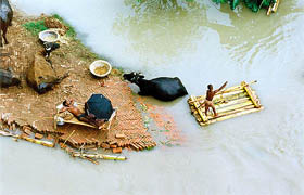 A man paddles on a bamboo raft in the flooded village of Raghopur, near Patna