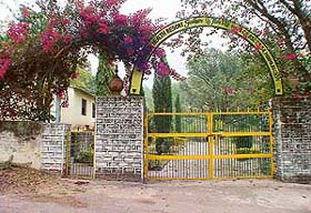 A view of Nolta Health Resort, Toran , near Pinjore