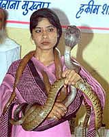 India's first woman snake charmer Imrana Mukhtar holds five poisonous snakes together at a demonstration in Bhopal 