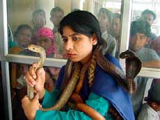 India's first woman snake charmer, Imrana Mukhtar, demonstrates with poisonous snakes