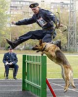A Ukrainian police officer jumps with his trained dog