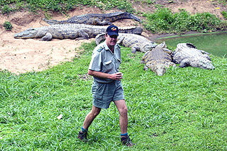 Evan Landman walks past some of the nine Nile crocodile