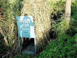 A cage which has been installed by the Department of Forests