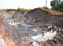 Workers busy plugging the breach in the Guru Nanak Thermal Plant discharge canal