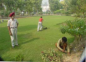 Gardners working at a park in Saraba Nagar