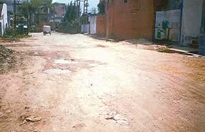 An unmetalled road in Sector 1, Parwanoo.