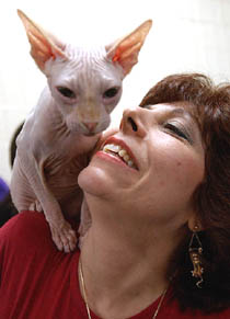 Sandy Adler makes faces at her Red Point Sphynx named Blush at the Cats! Show in New York 