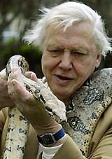 World renowned naturalist David Attenborough holds a python during a visit to Sydney's Taronga Zoo