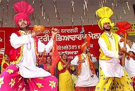 Artistes perform bhangra during the Mohan Singh Mela at Punjabi Bhawan