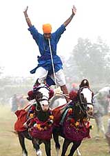 A Nihang shows his skills on the occasion of Bandi Chhor Divas in Amritsar