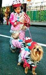 A young girl and her dogs, dressed as clowns, join a Halloween parade in Tokyo 