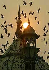 Pigeons fly over Jama Masjid on the first dusk of Ramzan