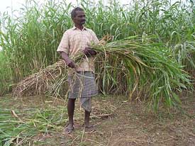 Sukhdev Singh, father of Indian hockey player Surinder Kaur
