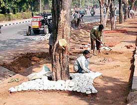 Panjab University gets a new look in wake of the forthcoming Indian Science Congress