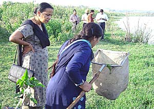 Experts from the Punjab Pollution Control Board take samples from the affected portion 