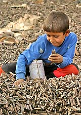 A boy collects real bullets while playing at a bullet casings garbage dump in Baghdad 