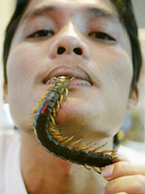 Boontawee Siengwong puts a centipede in his mouth 