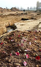 Poppies are placed near trenches that were abandoned at the end of World War I near the northern Belgian city of Ypres