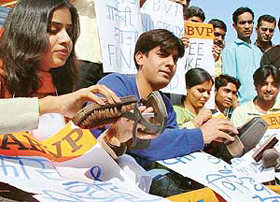 From studying to polishing shoes: Activists of the ABVP demonstrate how a fee hike will give a setback to higher education during a symbolic protest at the Sector 17 Plaza in Chandigarh on Wednesday.
